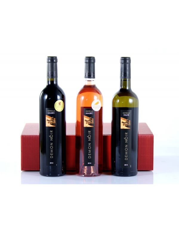 Coffret Cadeau Bouteilles de Vin Démon Noir