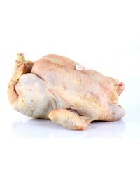 poule prête à cuire