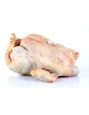 poule prête à cuire