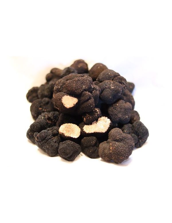 Truffe fraîche d'été