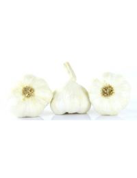 ail blanc de lomagne