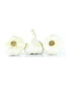 ail blanc de lomagne