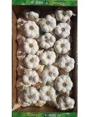 ail blanc de lomagne