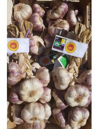 AOP Ail Violet de Cadours