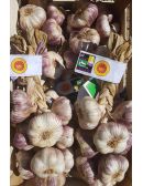 AOP Ail Violet de Cadours