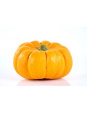 Courge jack little be