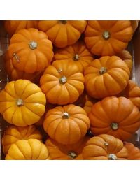 Courge pomarine en vrac