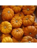 Courge pomarine en vrac