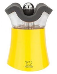 Salière Poivrière deux en un