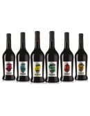 gaillac frimeur lot de 6 bouteilles