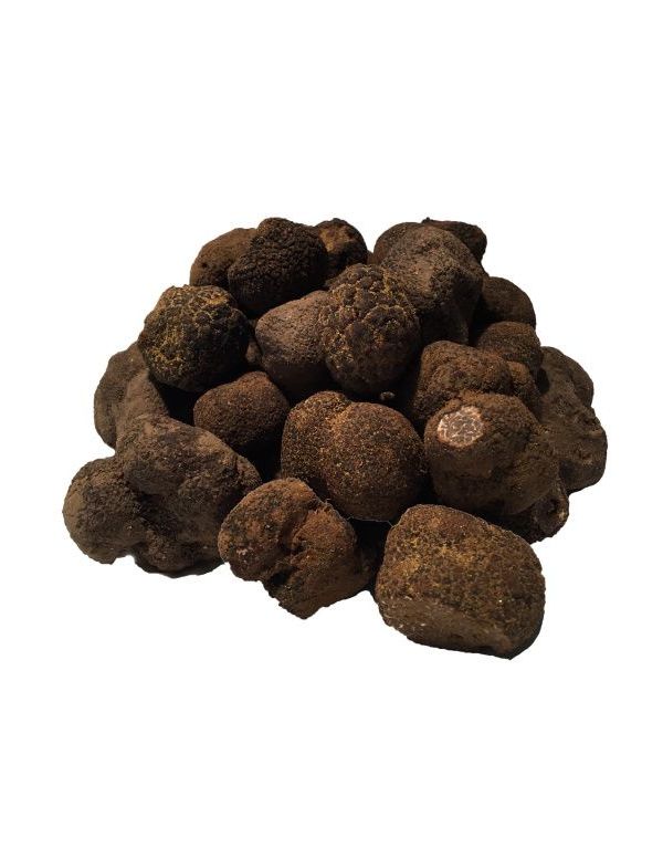 Truffe Noire fraîche de Provence