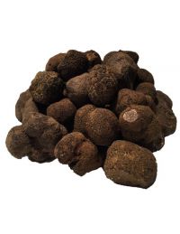 Truffe Noire fraîche de Provence