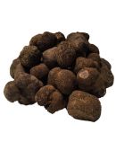 Truffe Noire fraîche de Provence