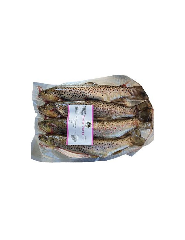 Truites Fario entières par lot de 4 - Pisciculture Jaladieu