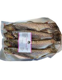 Truites Fario entières par lot de 4 - Pisciculture Jaladieu