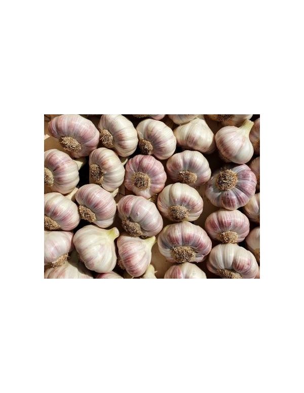 Ail Rose Vrac - Origine France