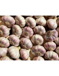 Ail Rose Vrac - Origine France