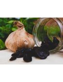 Gousses Ail Noir Bio France - L'Étuverie