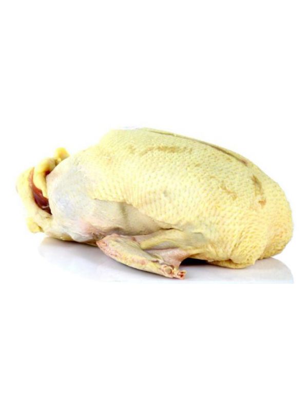 Canette prête à cuire