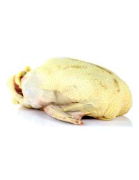 Canette prête à cuire