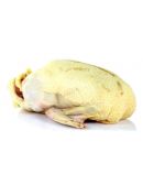 Canette prête à cuire