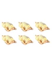 Lot de 6 Pigeons pr?ts ? cuire