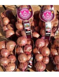 tresse d'oignon de roscoff