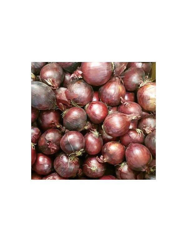 Oignon rouge vrac Origine France