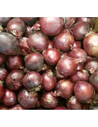 Oignon rouge vrac Origine France