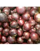Oignon rouge vrac Origine France