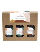 Coffret découverte de Cocktails prêts à déguster - Nighthawks