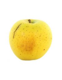 GoldRush BIO - Verger du Bosquet