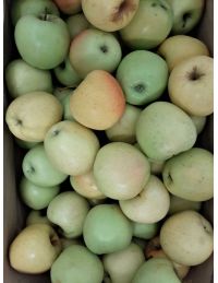 Pomme Golden Delicious