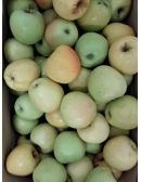 Pomme Golden Delicious