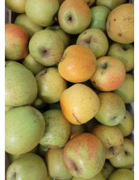 GoldRush BIO - Verger du Bosquet