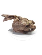 Carcasse de Canard confite