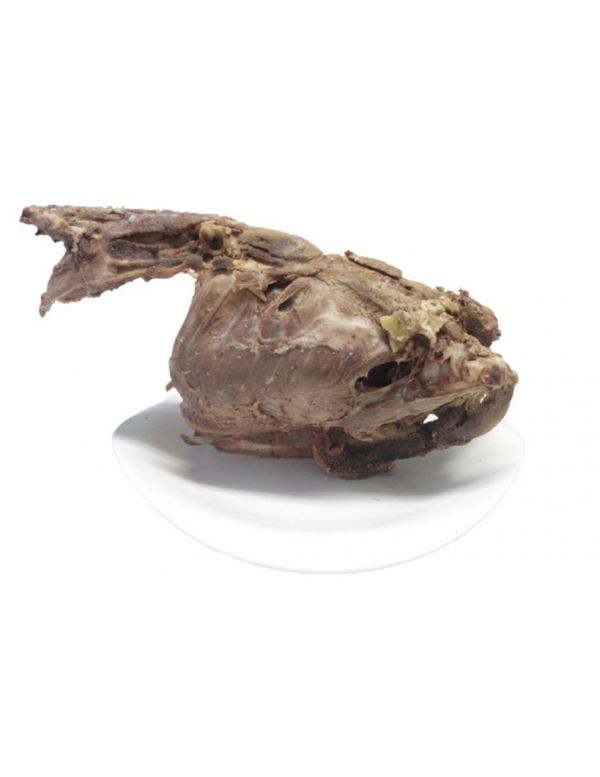 Carcasse de Canard confite