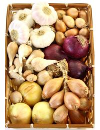 Ail Oignon Échalote : assortiment de condiments