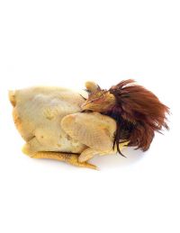 Chapon prêt à cuire