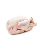 Dinde Prête à Cuire - Albi Volailles