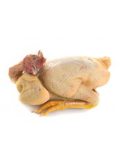 Poularde Pr?te ? Cuire