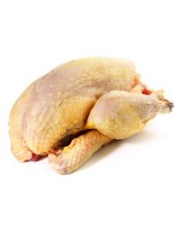 Pintade Chaponnée Prête à Cuire - Albi Volailles