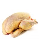 Pintade Chaponnée Prête à Cuire - Albi Volailles