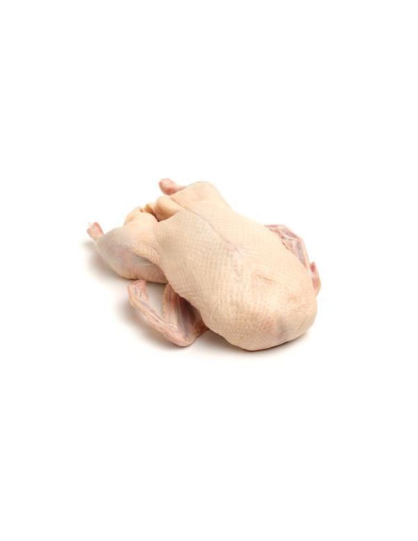 Oie Prête à Cuire - Albi Volailles