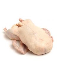 Oie Prête à Cuire - Albi Volailles