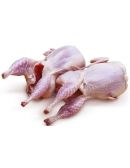 Perdreau Prêt à Cuire - Albi Volailles