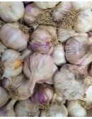 Ail Violet BIO en Vrac - Origine France