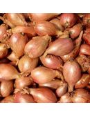 Echalote BIO en Vrac - Origine France