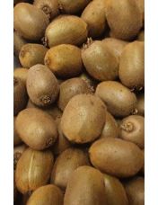 Kiwi BIO - Origine France