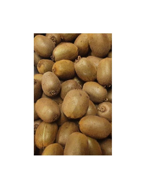 Kiwi BIO